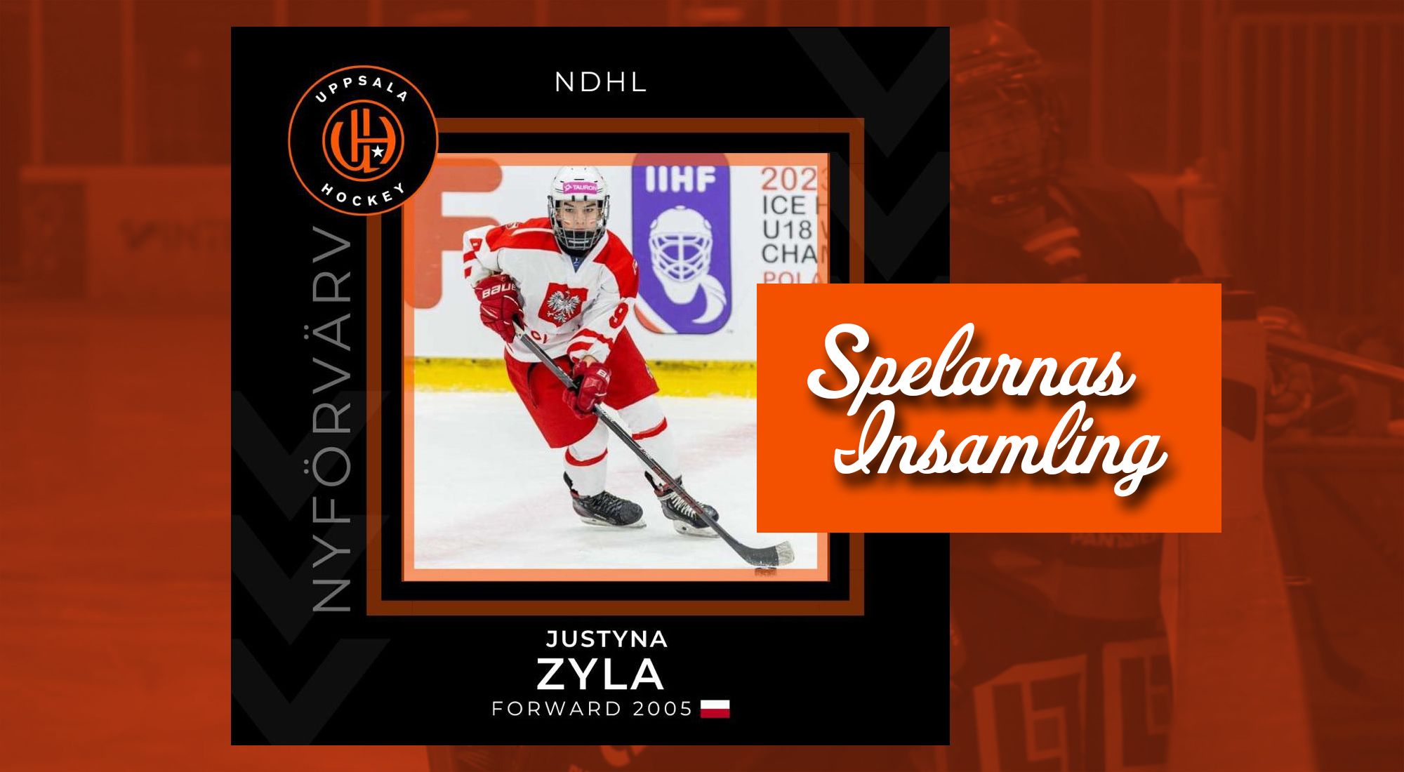 uppsala-hockey-spelarnas-insamling-justyna-zyla.jpg