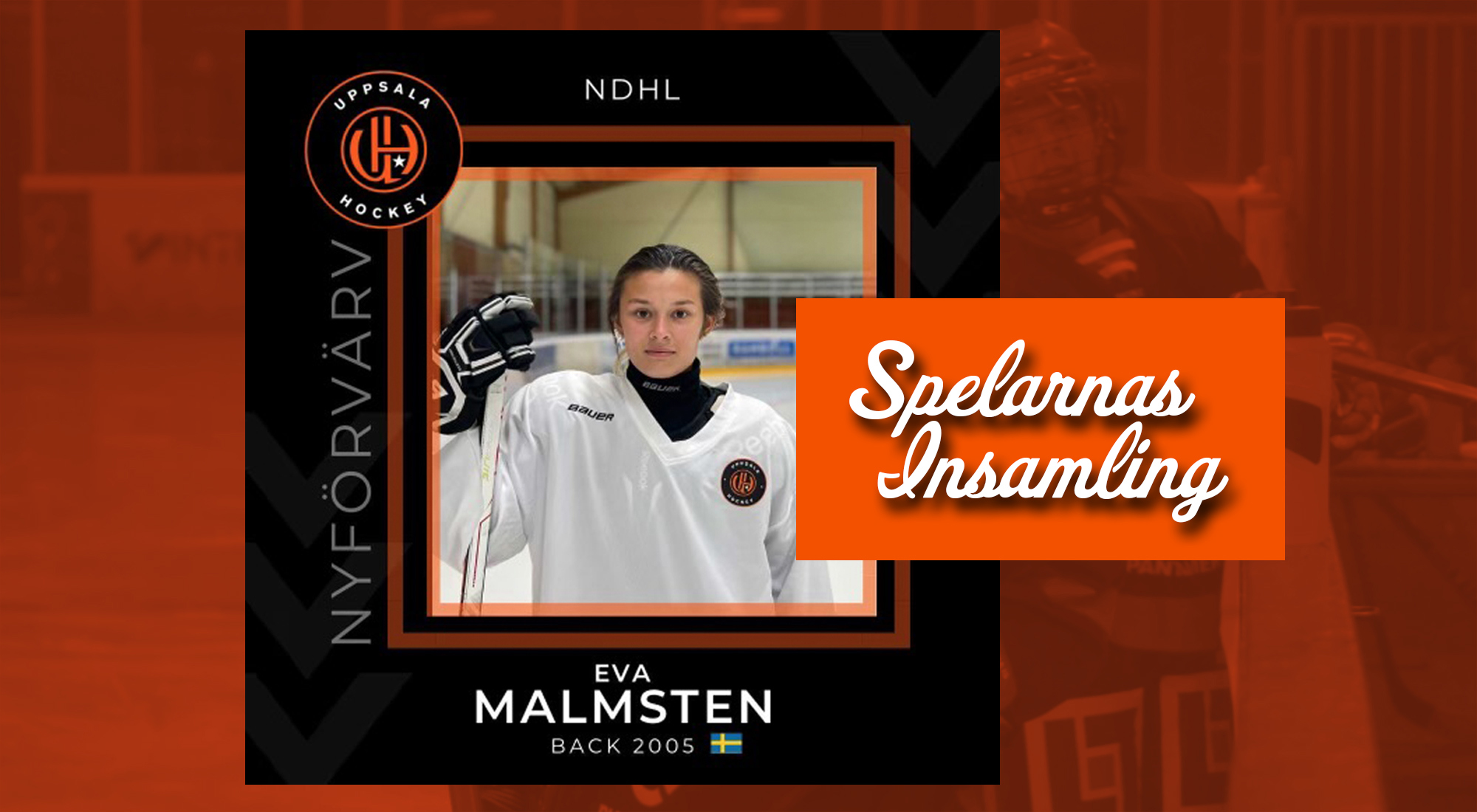 uppsala-hockey-spelarnas-insamling-eva-malmsten.jpg