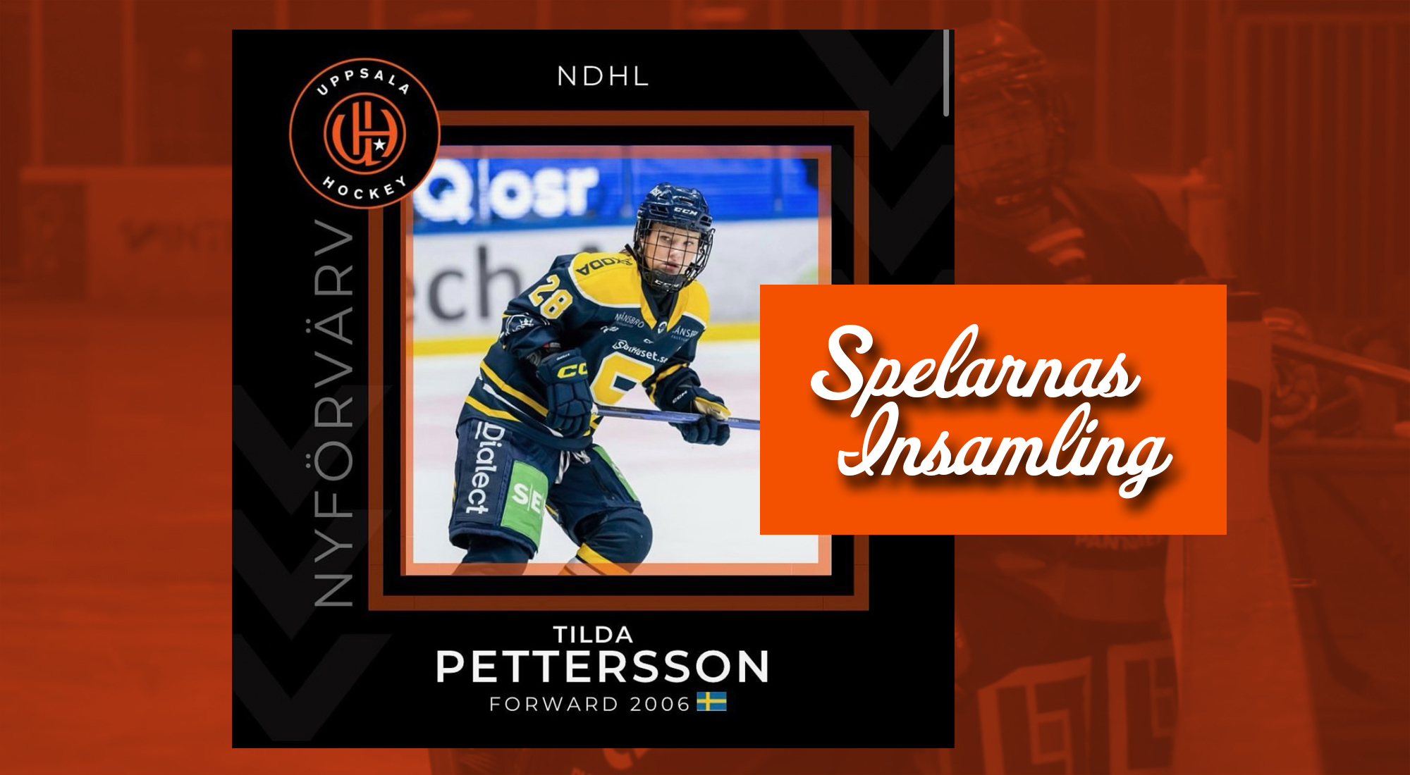 uppsala-hockey-spelarnas-insamling-tilda-pettersson.jpg