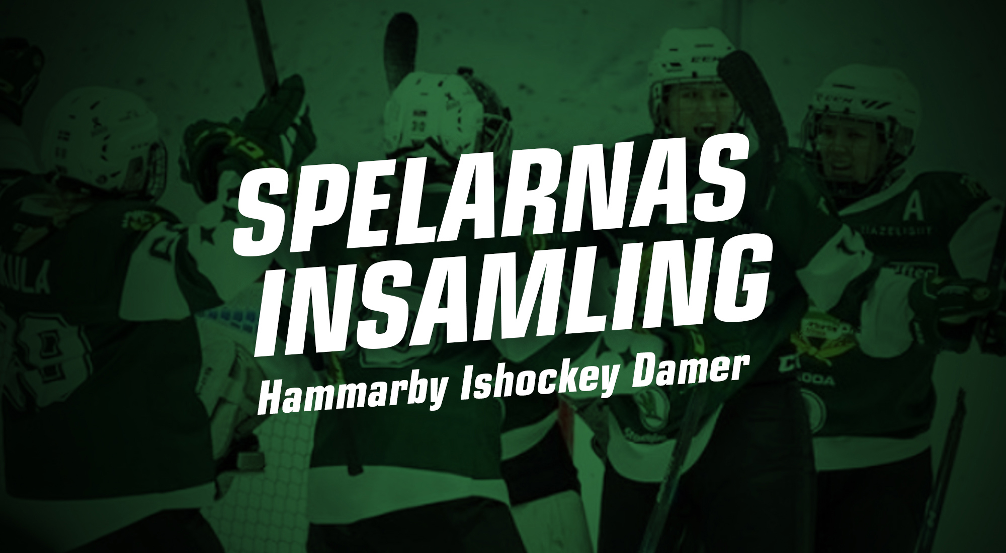 hammarby-hockey-damer-spelarnas-insamling-huvudmotiv.jpg