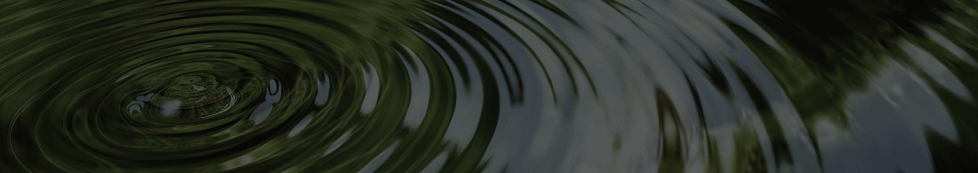 Targetaid Our Story Background 1920X340 Lighter Tp