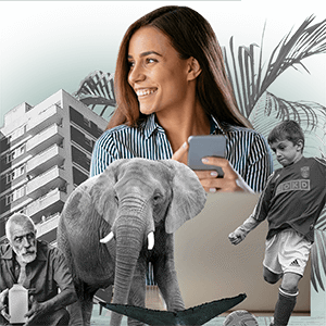 Targetaid Company Hero Collage 300X300 Tp