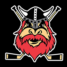 Nybro Vikings IF