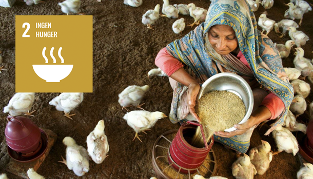 Targetaid Blog Sdg2 Image 1240X710