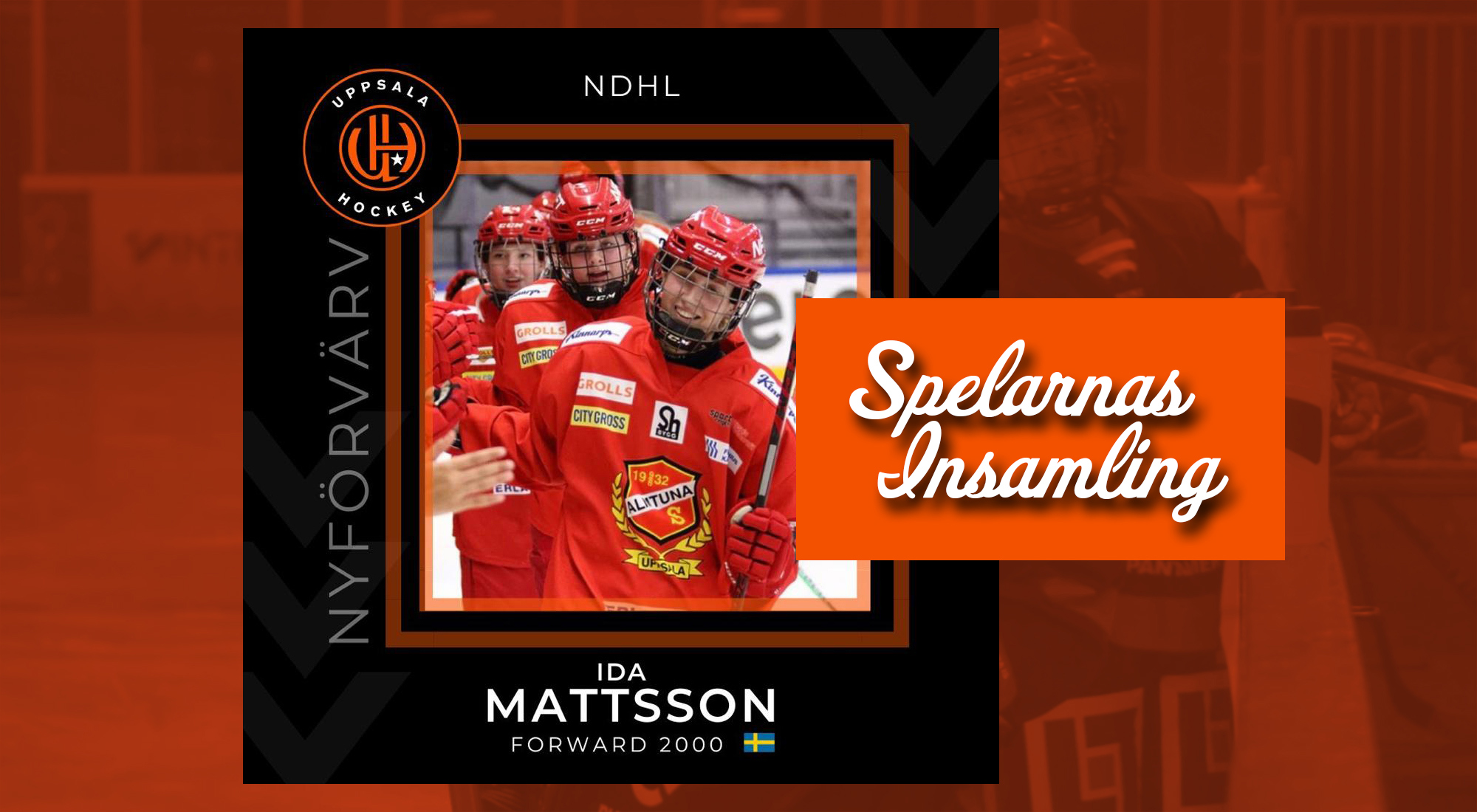 uppsala-hockey-spelarnas-insamling-ida-mattsson.jpg